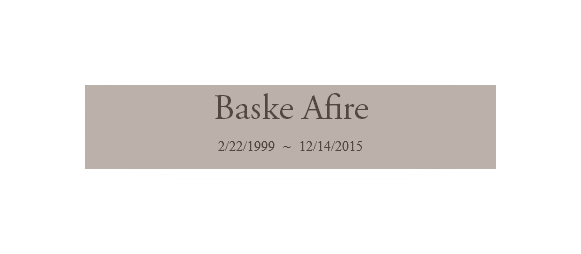 Baske Afire 2/22/1999 ~ 12/14/2015
