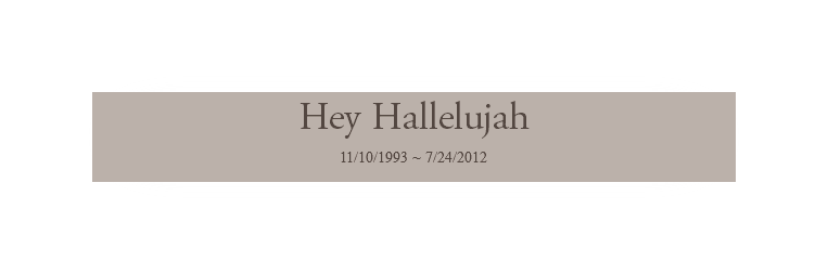 Hey Hallelujah 11/10/1993 ~ 7/24/2012